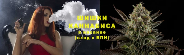 прущие грибы Балахна