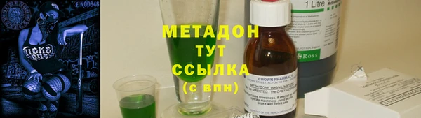 прущие грибы Балахна