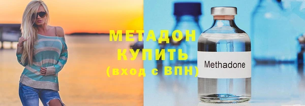 прущие грибы Балахна