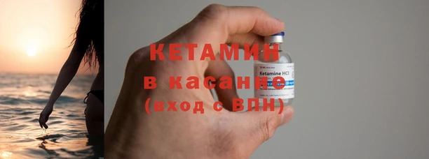 прущие грибы Балахна