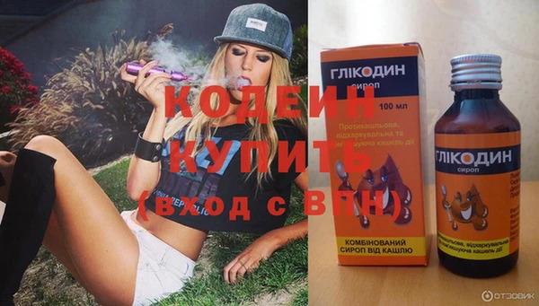 прущие грибы Балахна