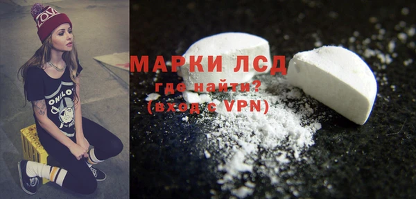 прущие грибы Балахна