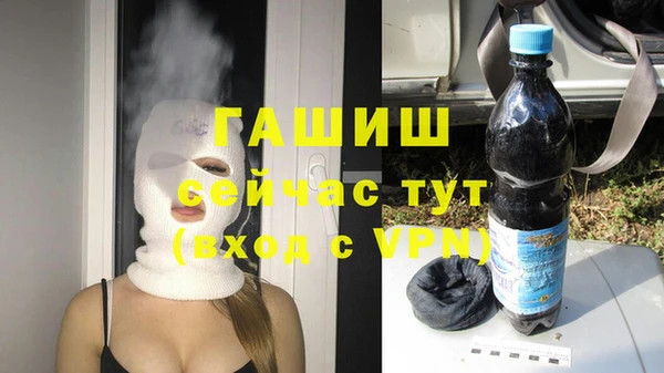 прущие грибы Балахна