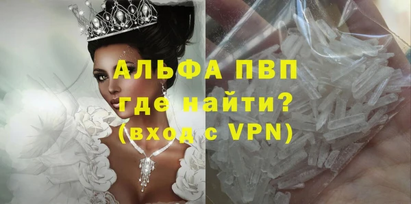прущие грибы Балахна