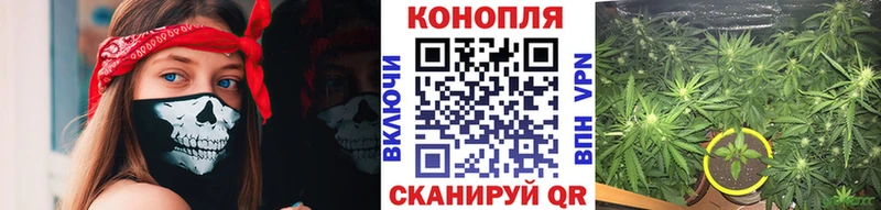 Марихуана MAZAR дарнет шоп darknet Telegram Фрязино